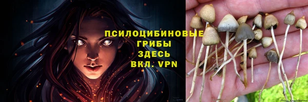 мяу мяу мука Арсеньев