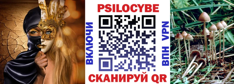 Галлюциногенные грибы Psilocybine cubensis  где купить наркоту  Правдинск 
